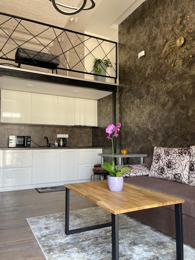 Radio City Loft Каунас Экстерьер фото